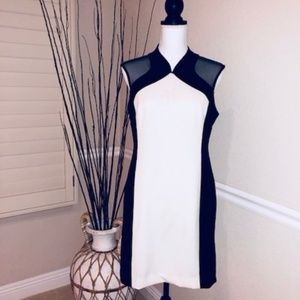 Mesh Two-Tone Evening Dress
